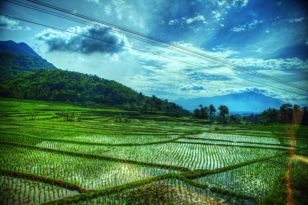 Indonesia - Java - Landscape-1